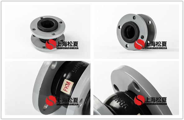 FKM-DN100-16kg耐腐蝕氟<a href='http://www.sujinlong.cn' target='_blank'><u>橡膠接頭</u></a>